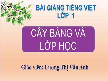 Bài giảng Tiếng Việt 1 (Kết nối tri thức) - Cây bàng và lớp học - Lương Thị Vân Anh