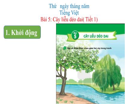 Bài giảng Tiếng Việt Lớp 1 (Kết nối tri thức) - Chủ đề 6 - Bài 5: Cây liễu dẻo dai (Tiết 1)