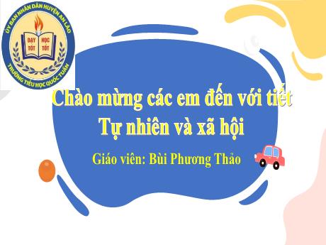 Bài giảng Tự nhiên và Xã hội 1 - Bài 10: Cùng khám phá quang cảnh xung quanh (Tiết 2) - Bùi Phương Thảo
