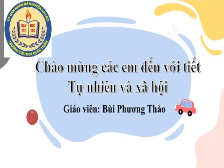 Bài giảng Tự nhiên và Xã hội 1 - Bài 10: Cùng khám phá quang cảnh xung quanh - Bùi Phương Thảo